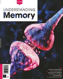 Understanding Memory