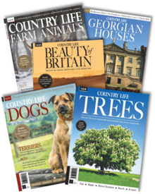 Country Life Specials Bundle