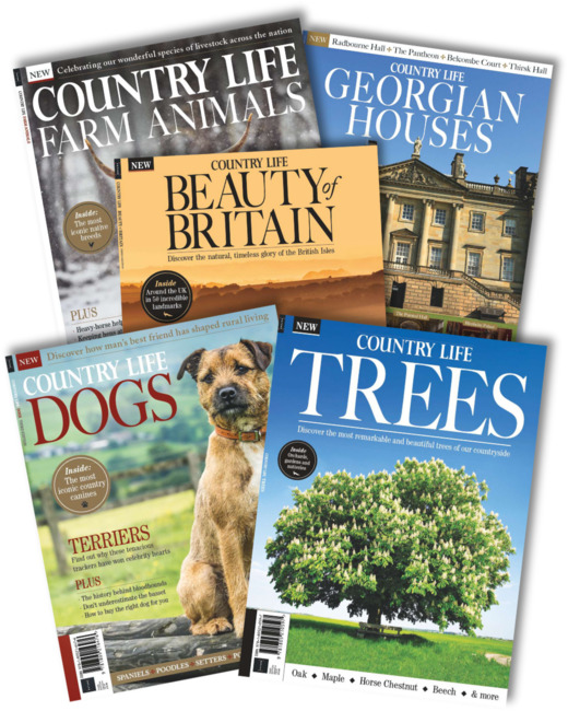 Country Life Specials Bundle